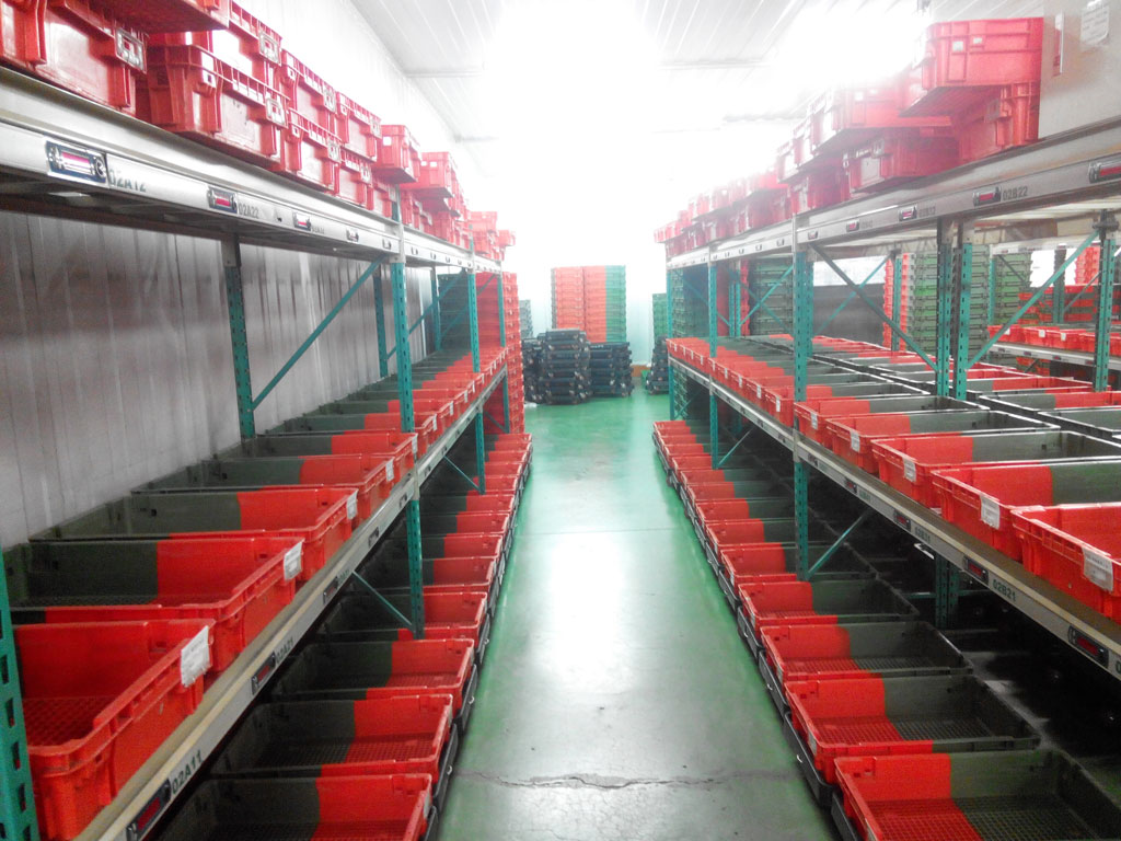 pick to light references